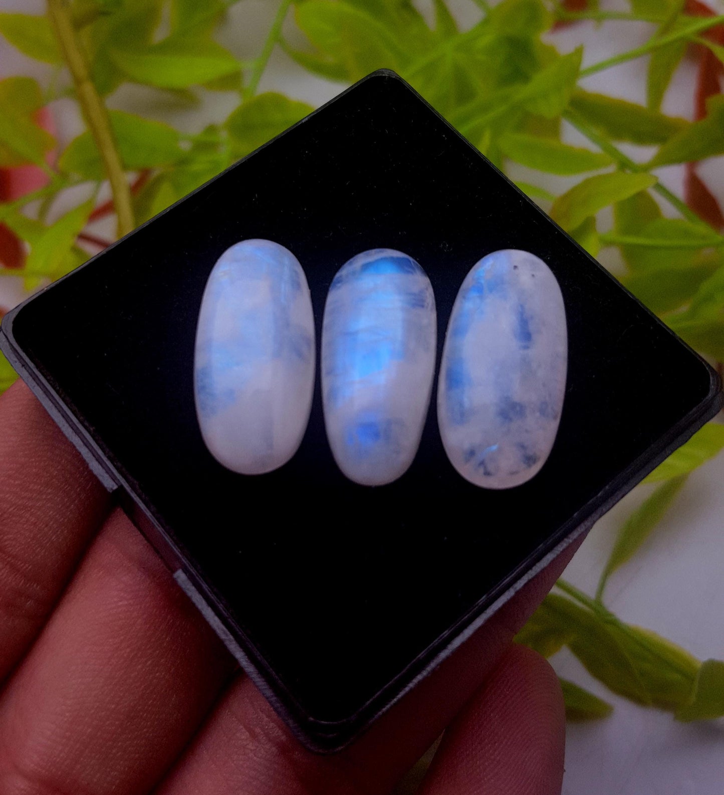 Moonstone, Natural Rainbow Moonstone, Oval Smooth Cabochon Gemstone Lot, 42.50 Carat, Size-23x11x6mm To 23x11x6mm, Gift For Her, PC-3