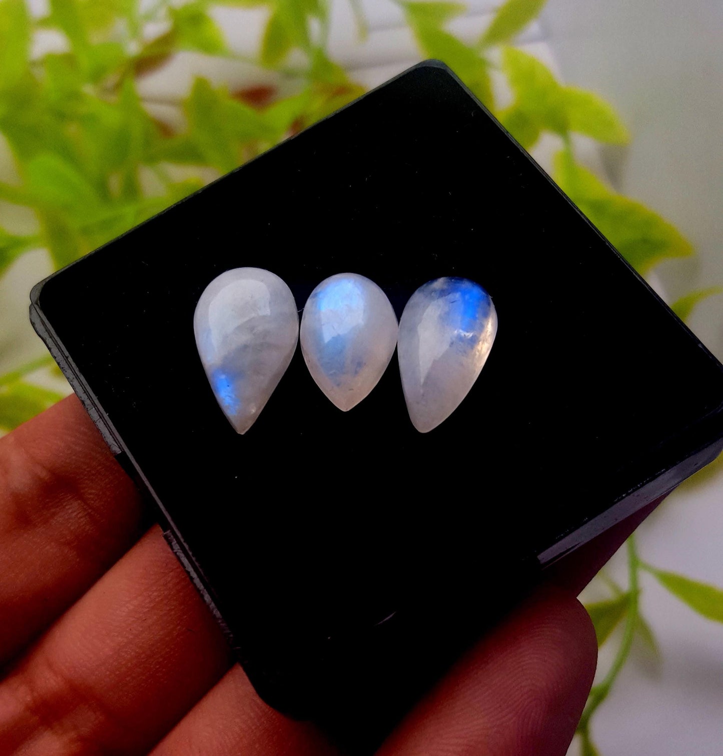 Moonstone, Natural Rainbow Moonstone, Pear Smooth Cabochon Gemstone Lot, 17.00 Carat, Size-26x10x5mm To 13x9x6mm, Gift For Her, PC-3