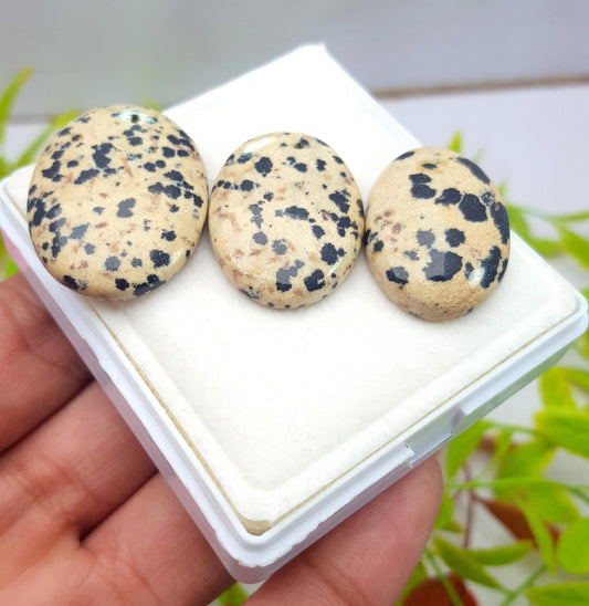 Jasper, Natural Dalmatian Jasper, Oval Shape Cabochon Gemstone Lot, 85.40 Carat, Size-31x30x6mm To 27x19x6mm, Gift For Her, PC-3