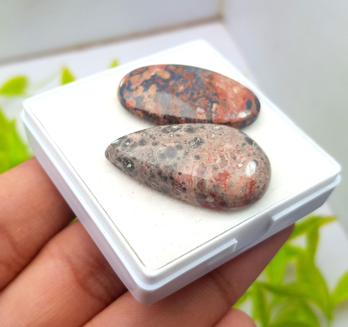 Jasper, Natural Leopard Skin Jasper, Mix Shape Smooth Cabochon Gemstone Lot, 49.60 Carat, Size-31x19x5mm To 32x19x7mm, Gift For Her, PC-2