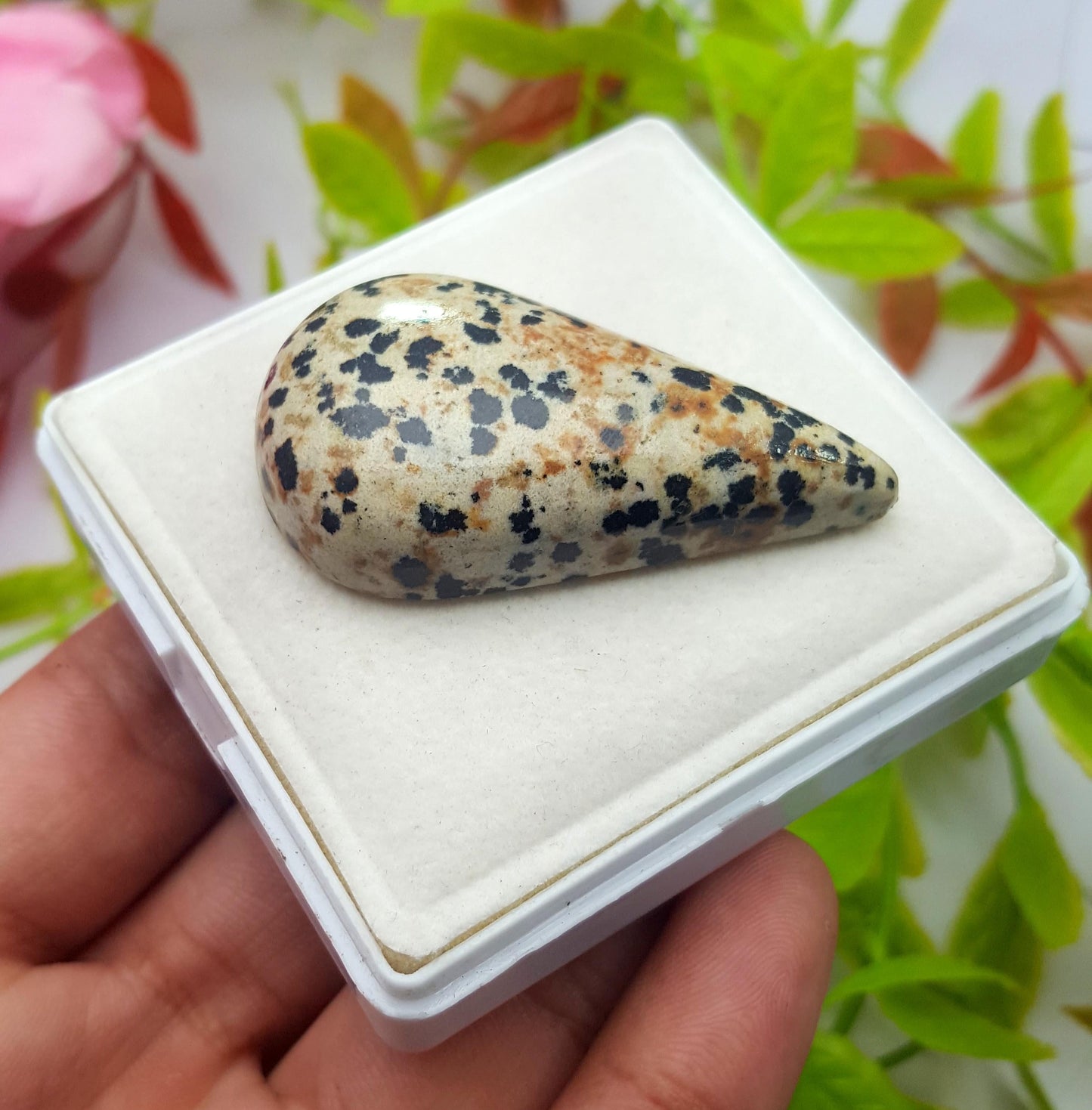 Jasper, Natural Dalmatian Jasper, Pear Shape Smooth Cabochon Loose Gemstone, 96.10 Carat, Size-48x26x10mm, Gift For Her, PC-1