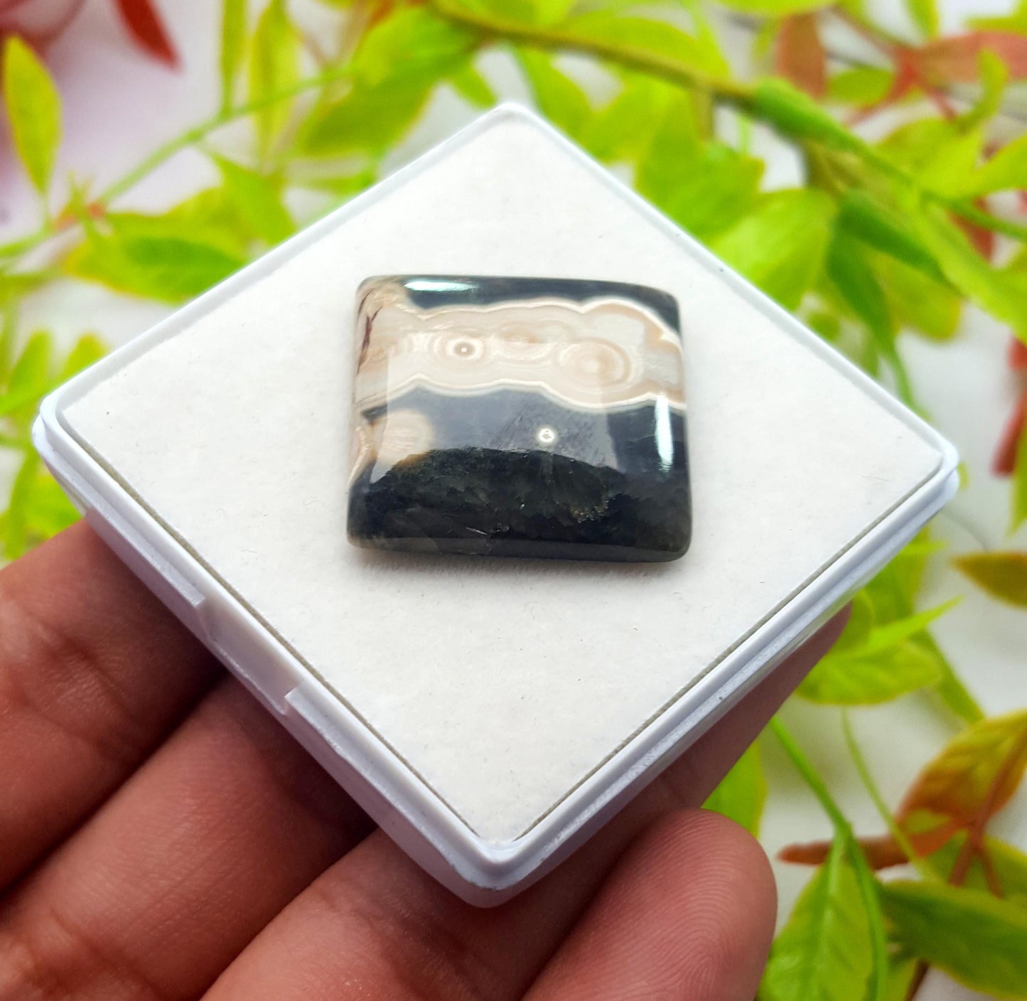 Jasper, Natural Ocean Jasper, Square Smooth Cabochon Loose Gemstone, 33.00 Carat, Size-25x24x6mm, For Jewelry Making, PCS-1