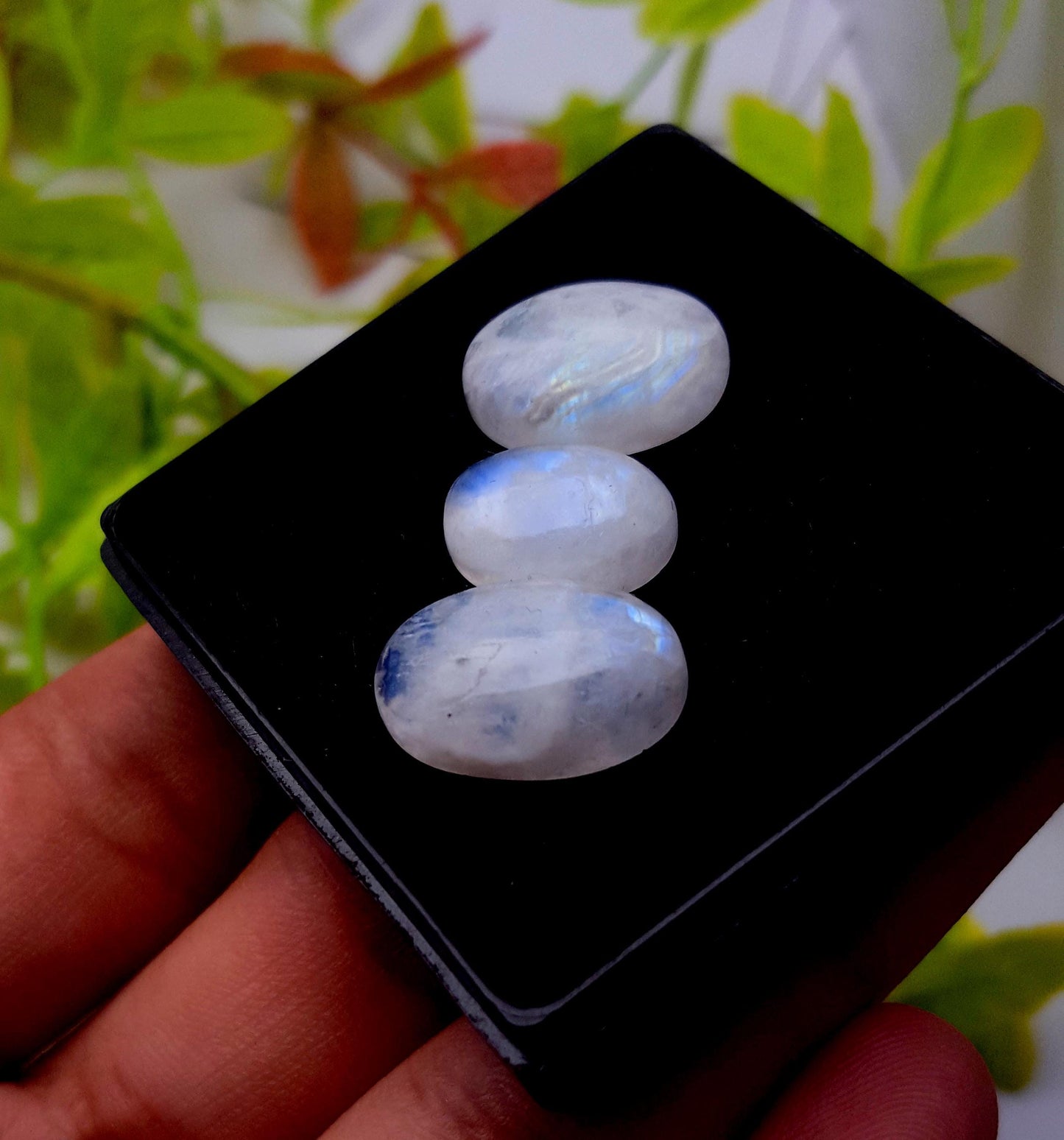 Rainbow Moonstone, Oval Cabochon Gemstone Lot, 25.90 Carat, Size-18x12x6mm To 14x10x5mm,