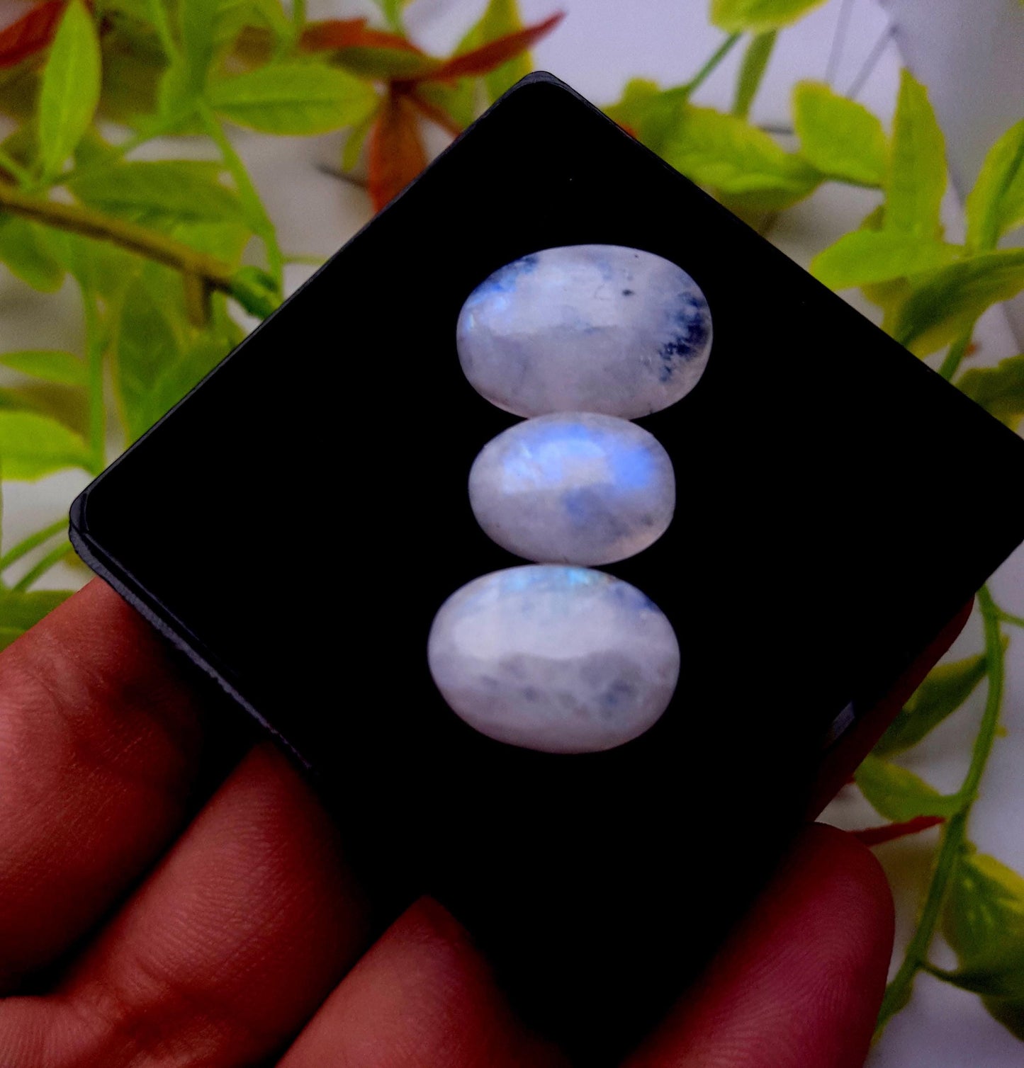 Rainbow Moonstone, Oval Cabochon Gemstone Lot, 25.90 Carat, Size-18x12x6mm To 14x10x5mm,