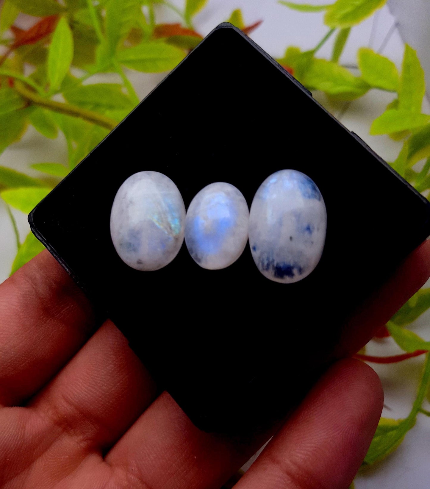 Rainbow Moonstone, Oval Cabochon Gemstone Lot, 25.90 Carat, Size-18x12x6mm To 14x10x5mm,