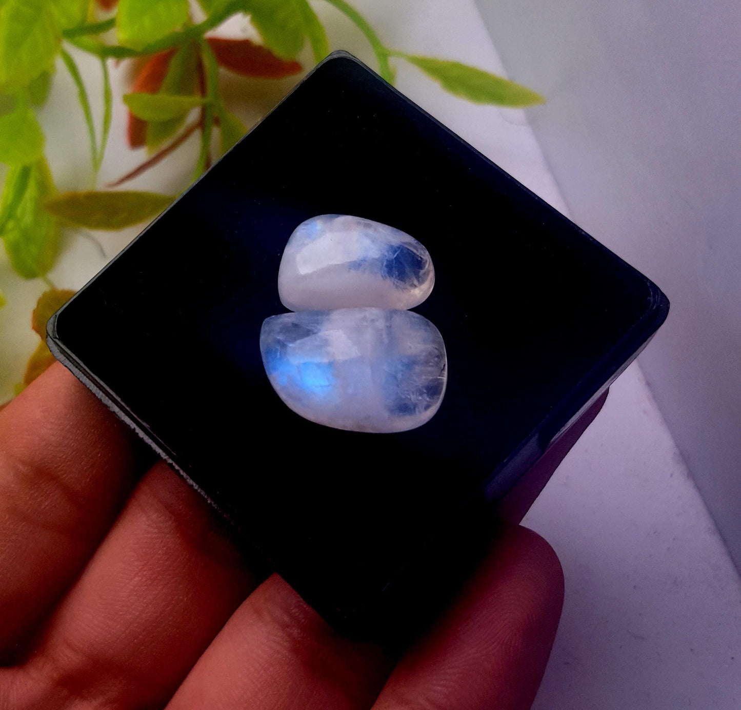 Rainbow Moonstone, Fancy Shape Cabochon Gemstone Lot, 27.90 Carat, Size-21x13x7mm To 17x11x7mm,