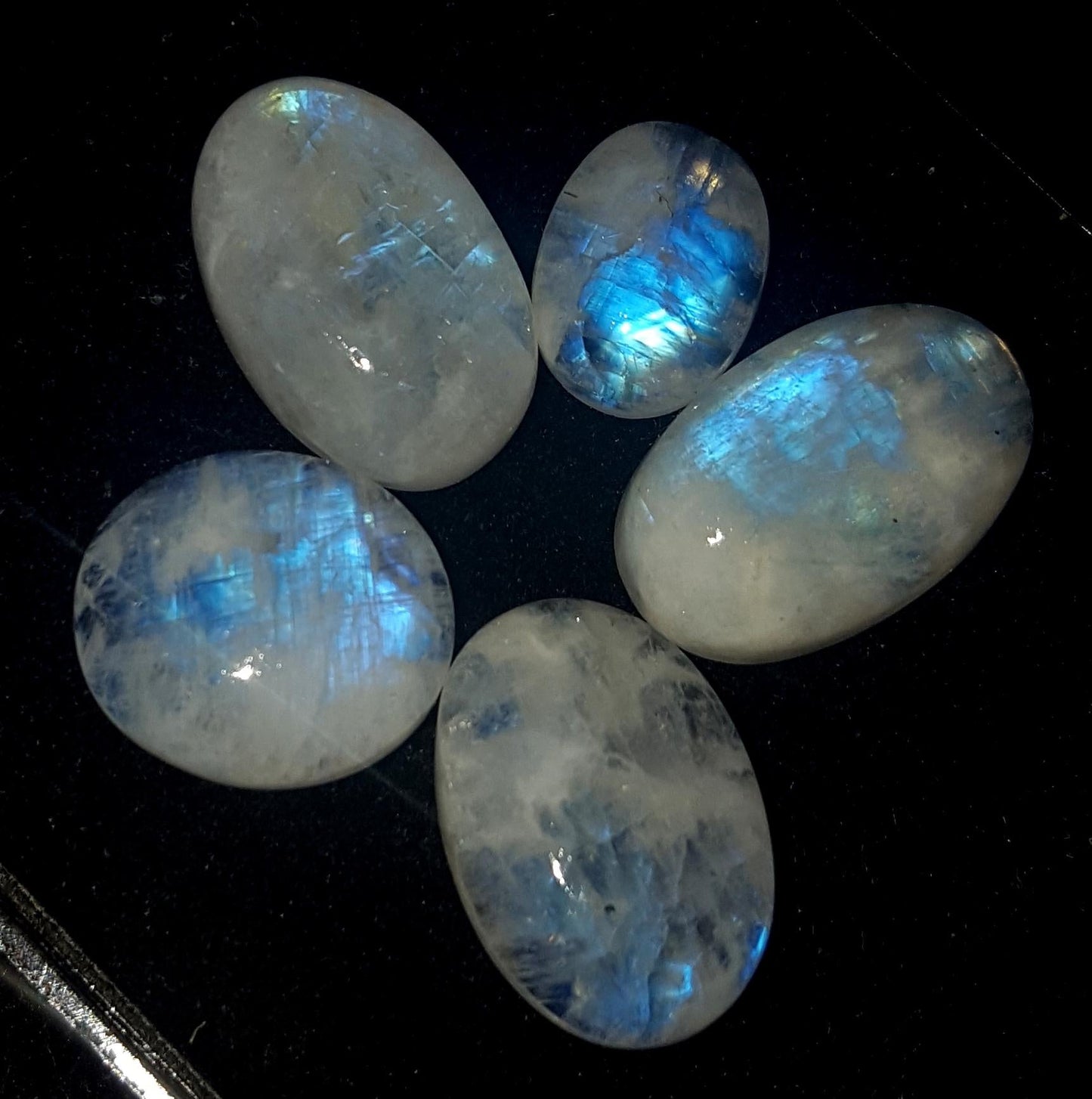 Rainbow Moonstone, Oval Blue Flashy Gemstone Lot, 36.00 Carat, Size-14x13x4.4mm To 17x11x6mm