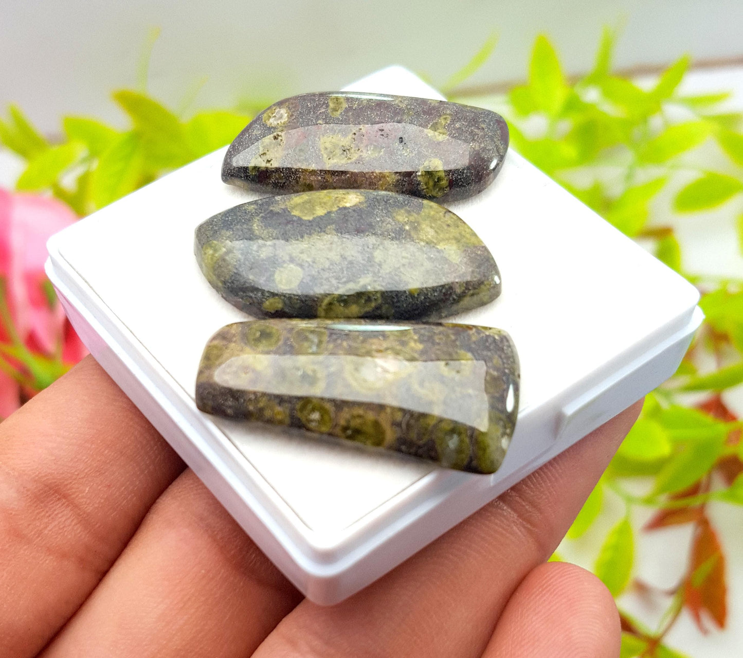 Rare & Natural Dragon Blood Jasper, Fancy Shape Cabochon Gemstone Lot, 74.50 Carat, Size-32x18x4mm To 30x15x5mm, Gift For Her, PC-3